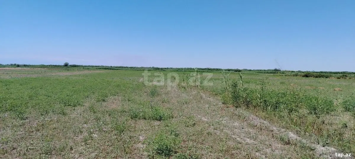 20 000 AZN - 0 m² Obyekt / Ofis , Ağdaş