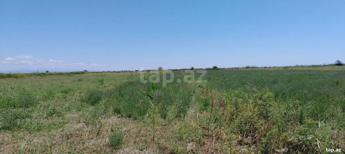 20 000 AZN - 0 m² Obyekt / Ofis , Ağdaş