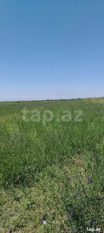 20 000 AZN - 0 m² Obyekt / Ofis , Ağdaş