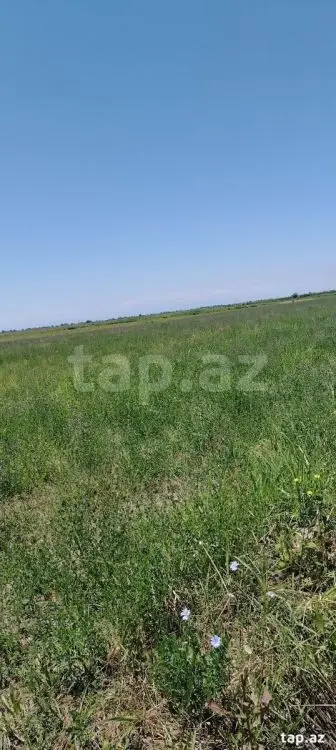 20 000 AZN - 0 m² Obyekt / Ofis , Ağdaş