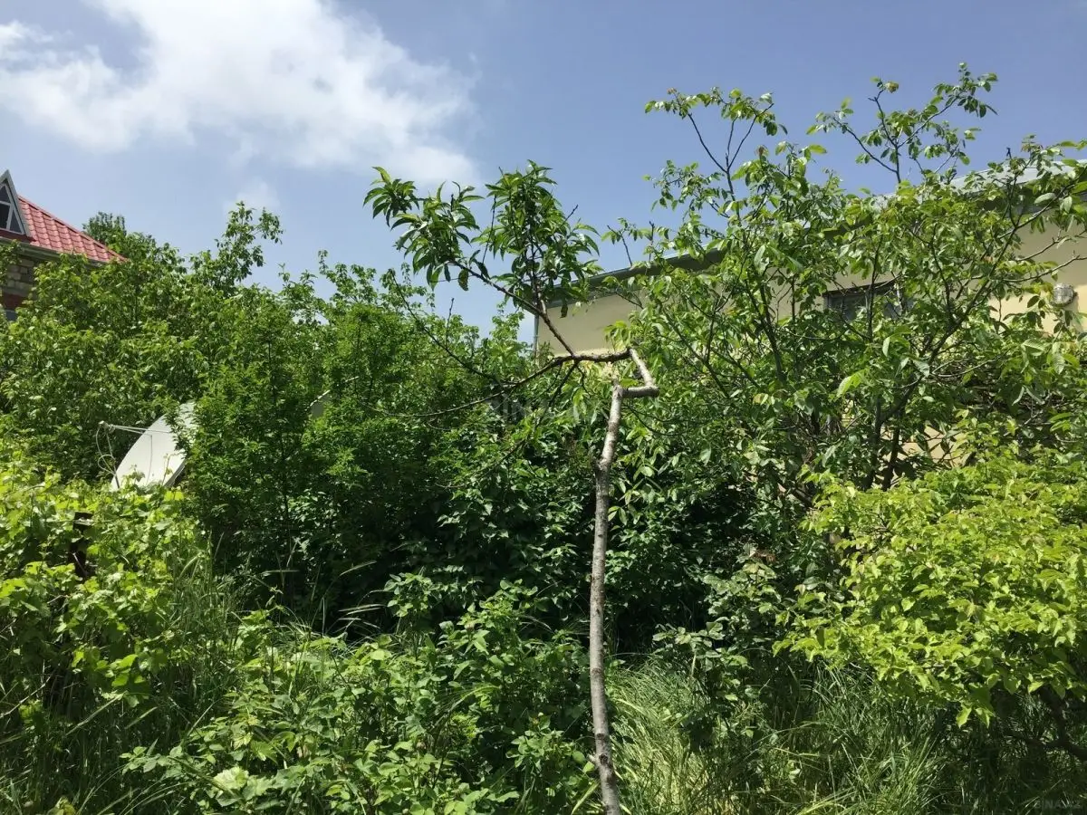 140 000 AZN - 3 otaqlı mənzil Satılır, Xızı