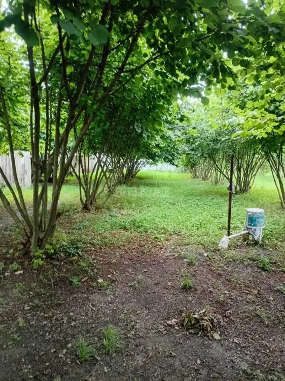 36 000 AZN - 2 otaqlı mənzil Satılır, Qax