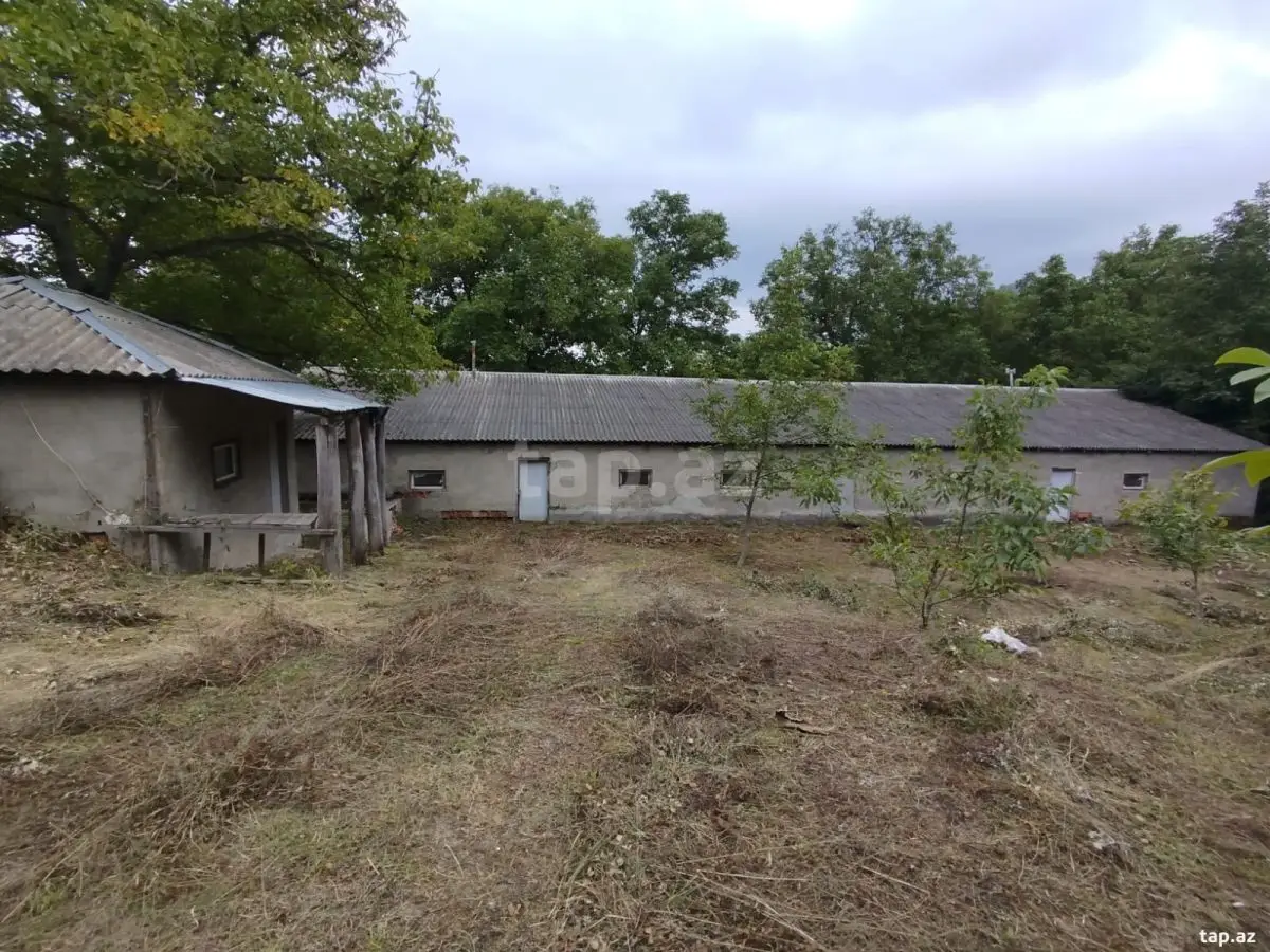 97 500 AZN - 0 m² Obyekt / Ofis , Şabran