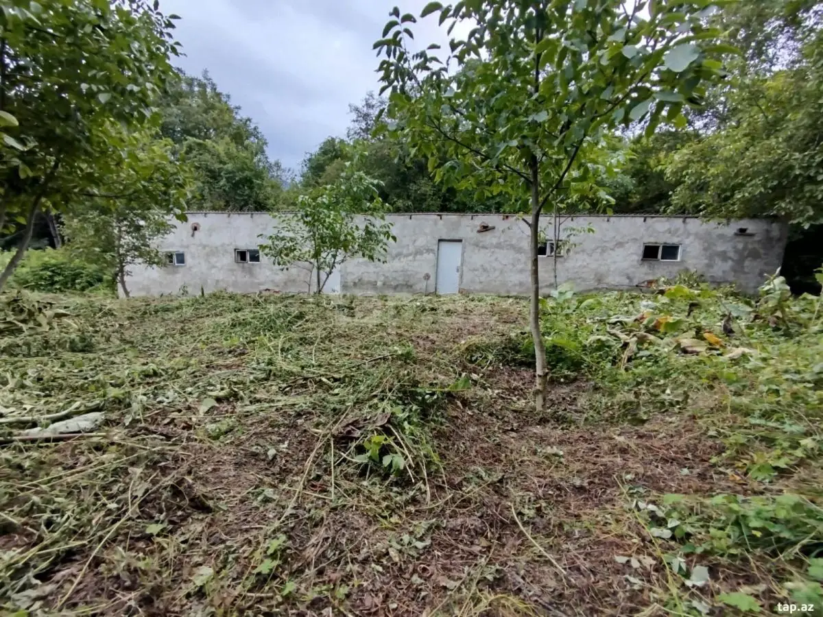 97 500 AZN - 0 m² Obyekt / Ofis , Şabran