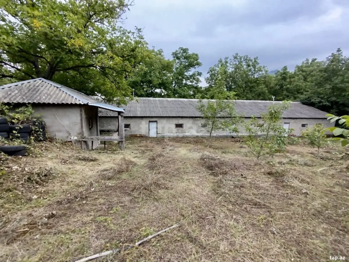 97 500 AZN - 0 m² Obyekt / Ofis , Şabran