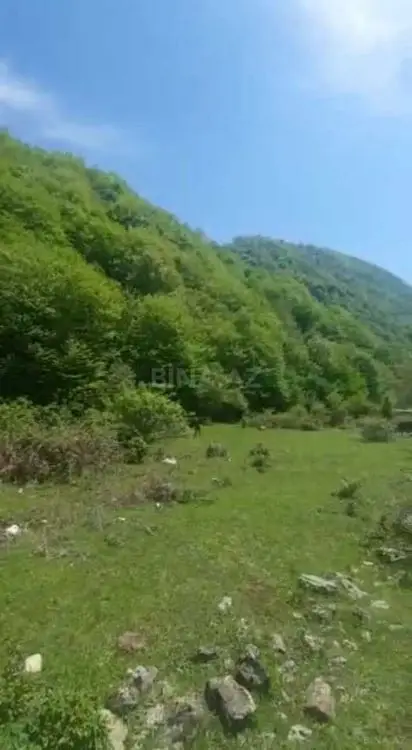 137 800 AZN - 10.6 sot Torpaq Satılır, Qəbələ