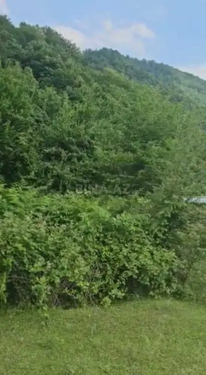 137 800 AZN - 10.6 sot Torpaq Satılır, Qəbələ