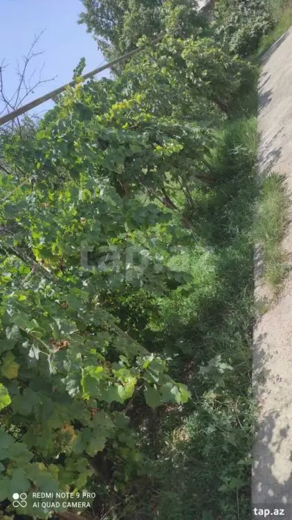 55 000 AZN - 4 otaqlı mənzil , Naxçıvan MR