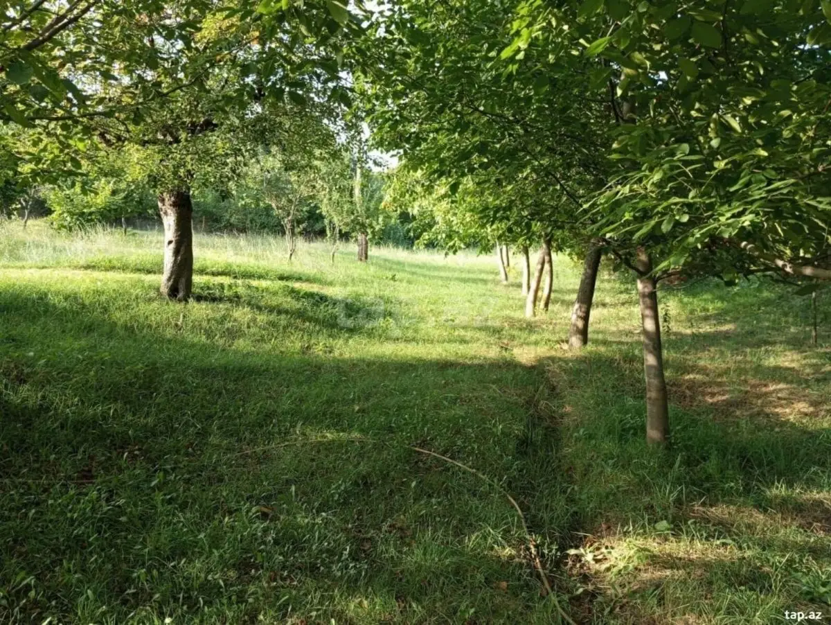 25 500 AZN - 0 m² Obyekt / Ofis , İsmayıllı