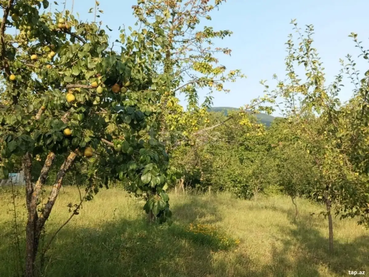 25 500 AZN - 0 m² Obyekt / Ofis , İsmayıllı