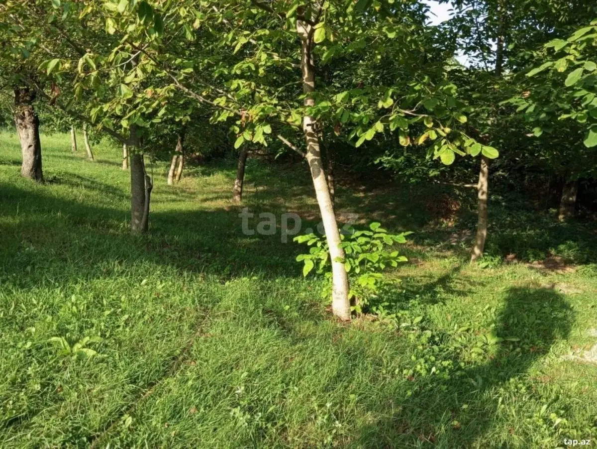 25 500 AZN - 0 m² Obyekt / Ofis , İsmayıllı