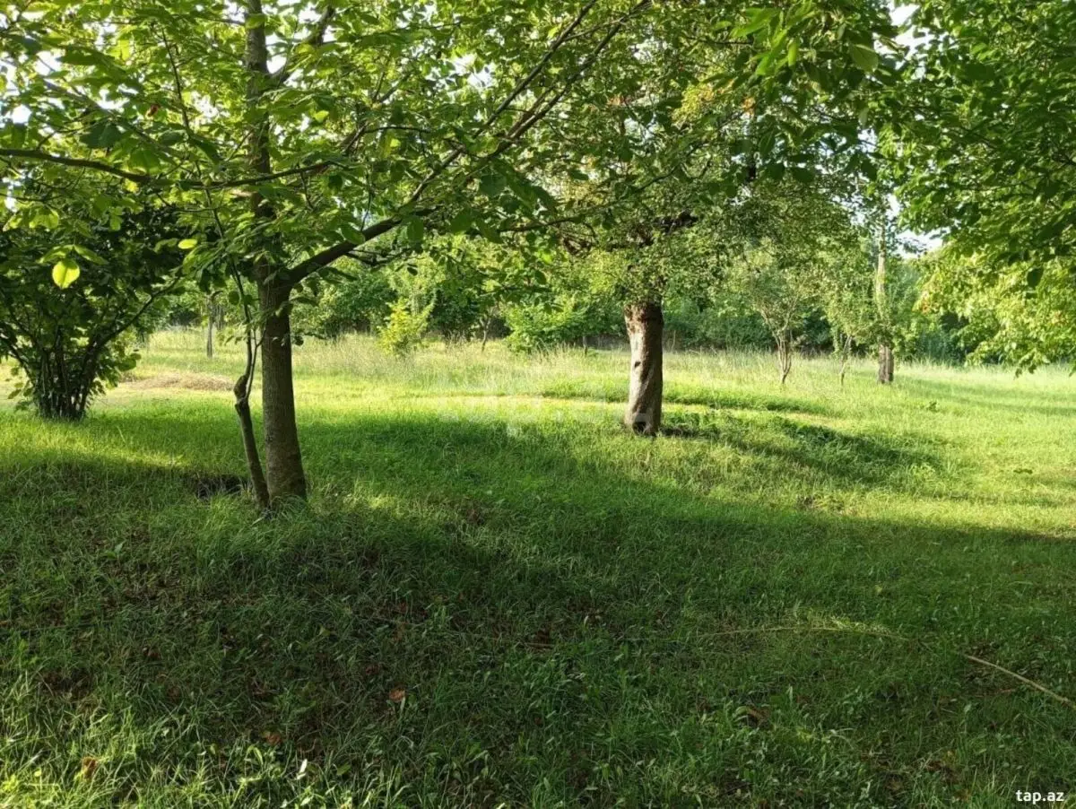 25 500 AZN - 0 m² Obyekt / Ofis , İsmayıllı