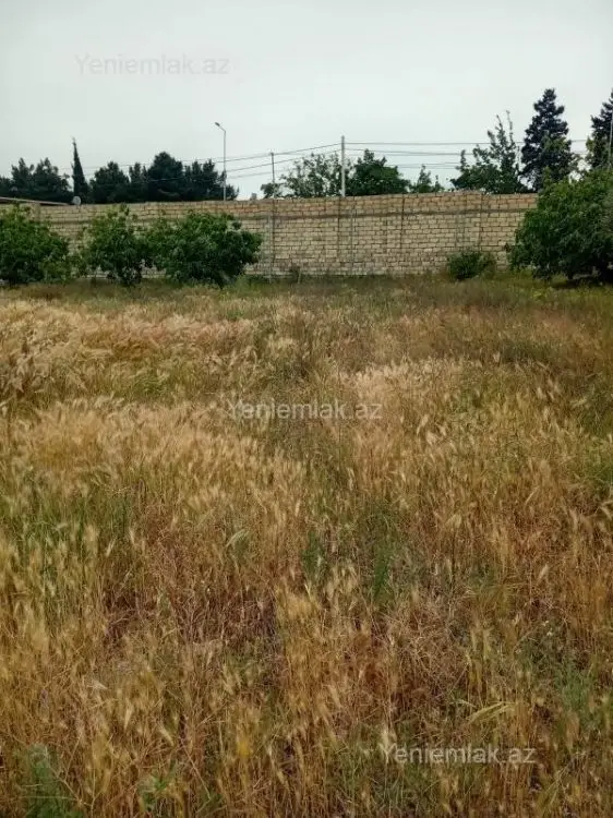 432 000 AZN - 24 sot Torpaq Satılır, Novxanı, Abşeron