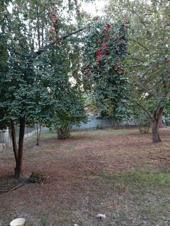 7 000 AZN - 6 sot Torpaq Satılır, Oğuz