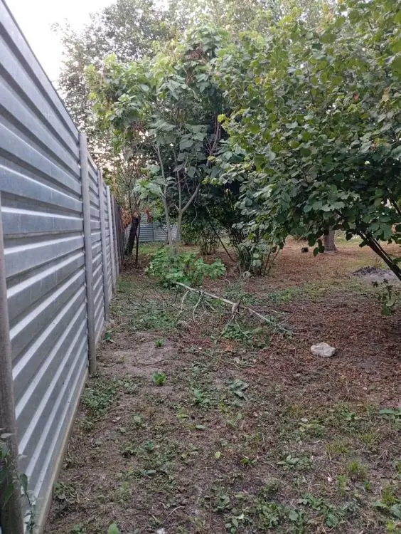 7 000 AZN - 6 sot Torpaq Satılır, Oğuz