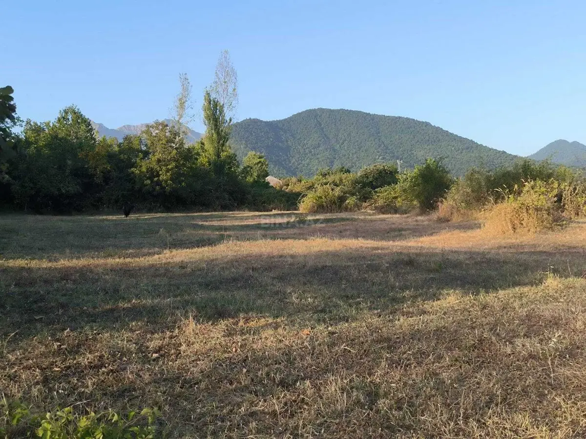 136 000 AZN - 21 sot Torpaq Satılır, Qəbələ