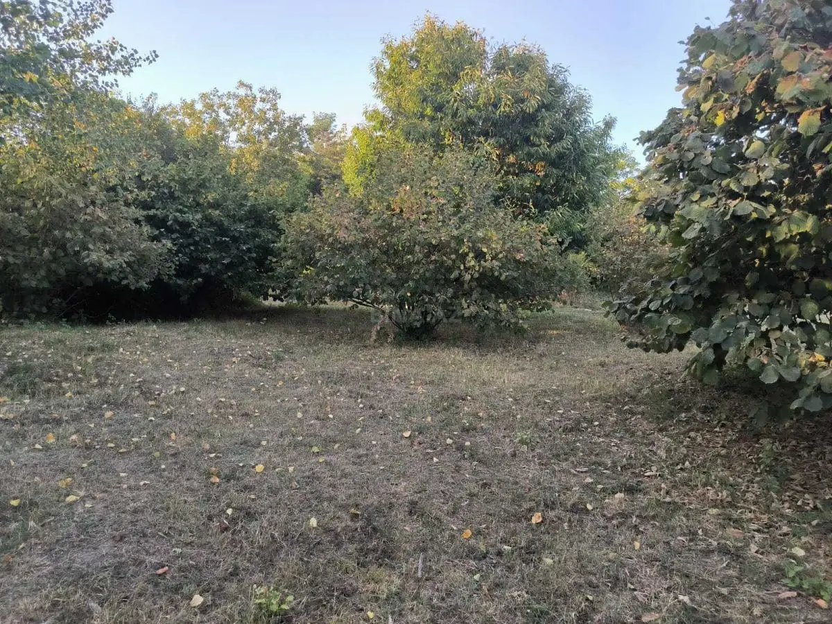 136 000 AZN - 21 sot Torpaq Satılır, Qəbələ