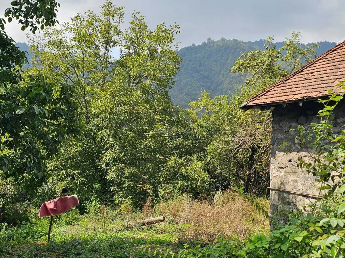 55 000 AZN - 11 sot Torpaq Satılır, Qəbələ