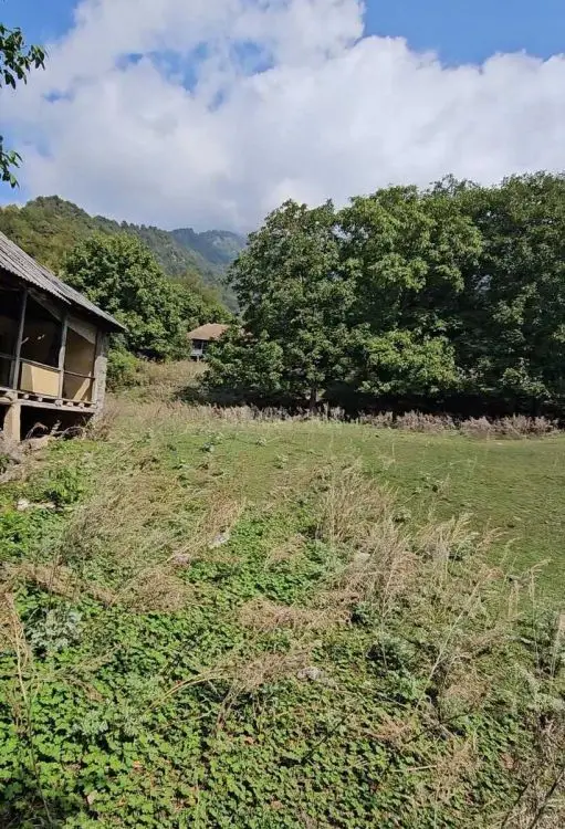 185 000 AZN - 36 sot Torpaq Satılır, Qəbələ