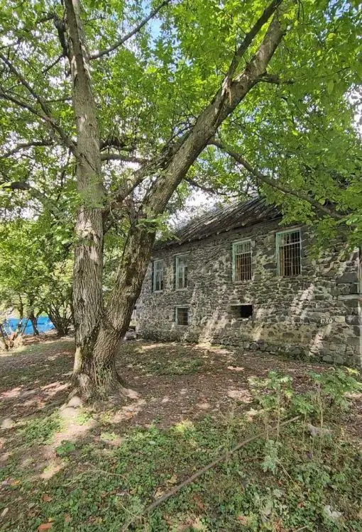 185 000 AZN - 36 sot Torpaq Satılır, Qəbələ