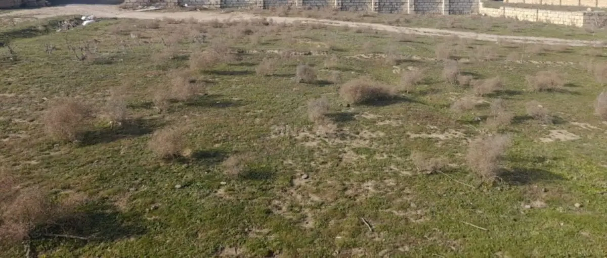 30 000 AZN - 5 sot Torpaq Satılır, Abşeron