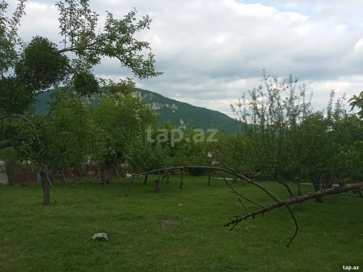 65 000 AZN - 0 m² Obyekt / Ofis , İsmayıllı