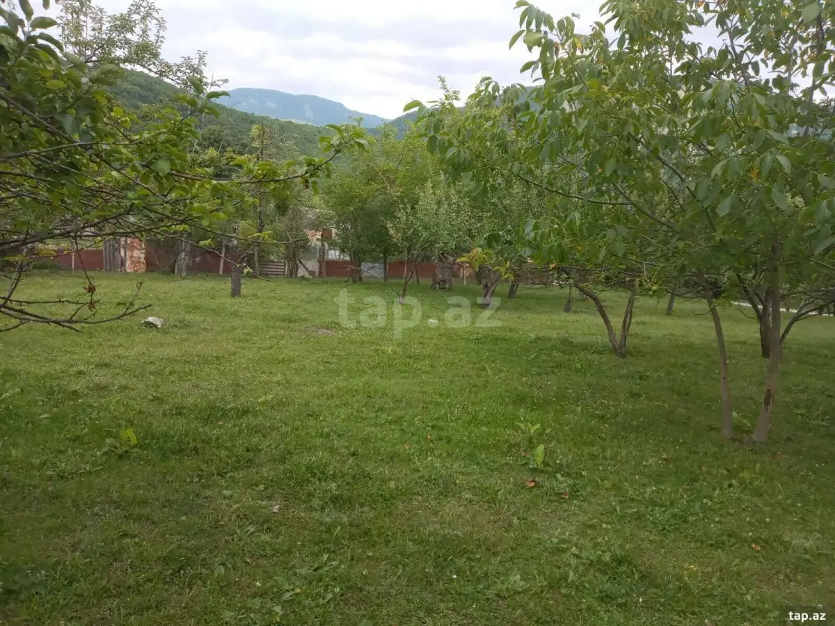 65 000 AZN - 0 m² Obyekt / Ofis , İsmayıllı