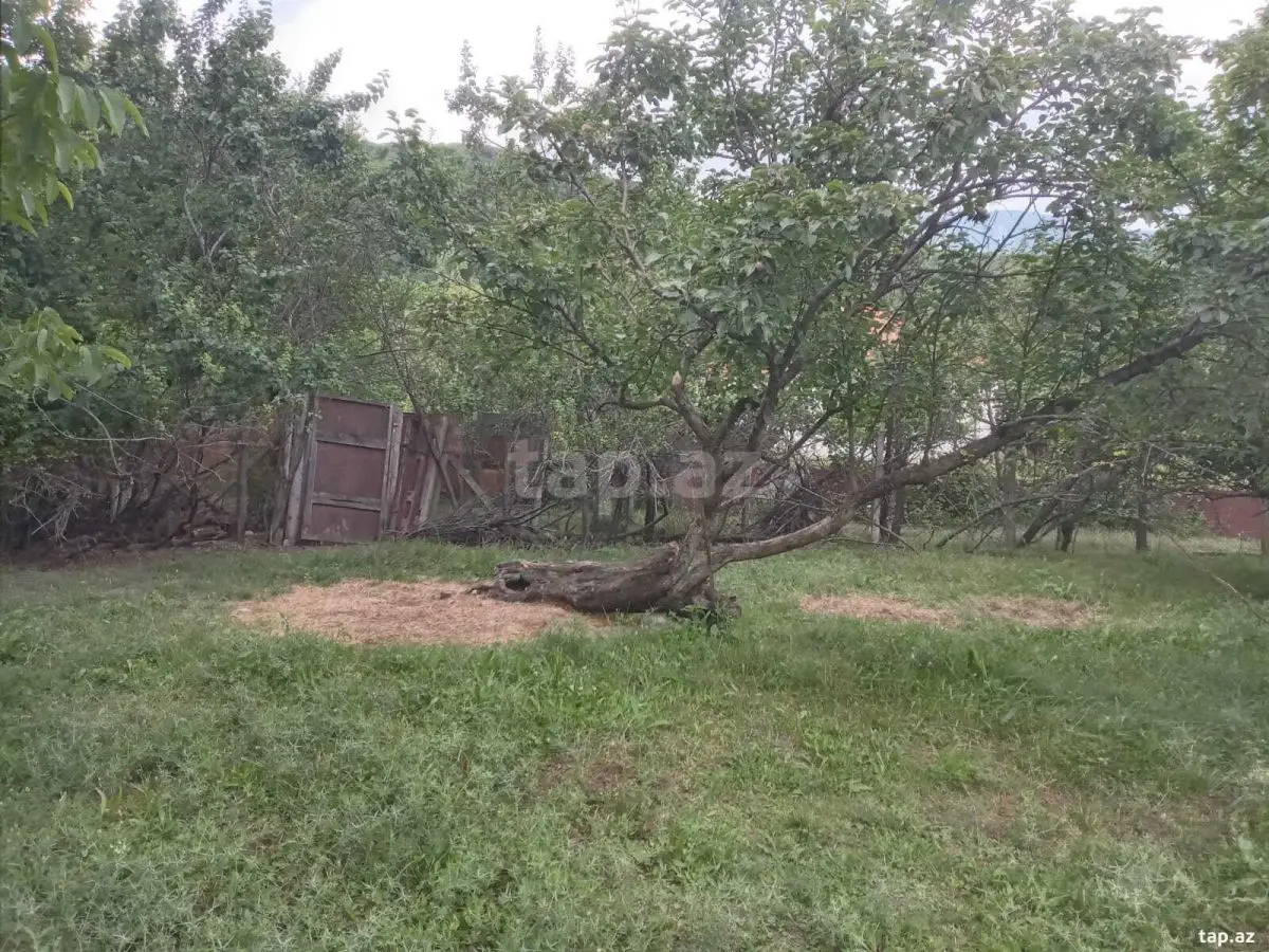 65 000 AZN - 0 m² Obyekt / Ofis , İsmayıllı