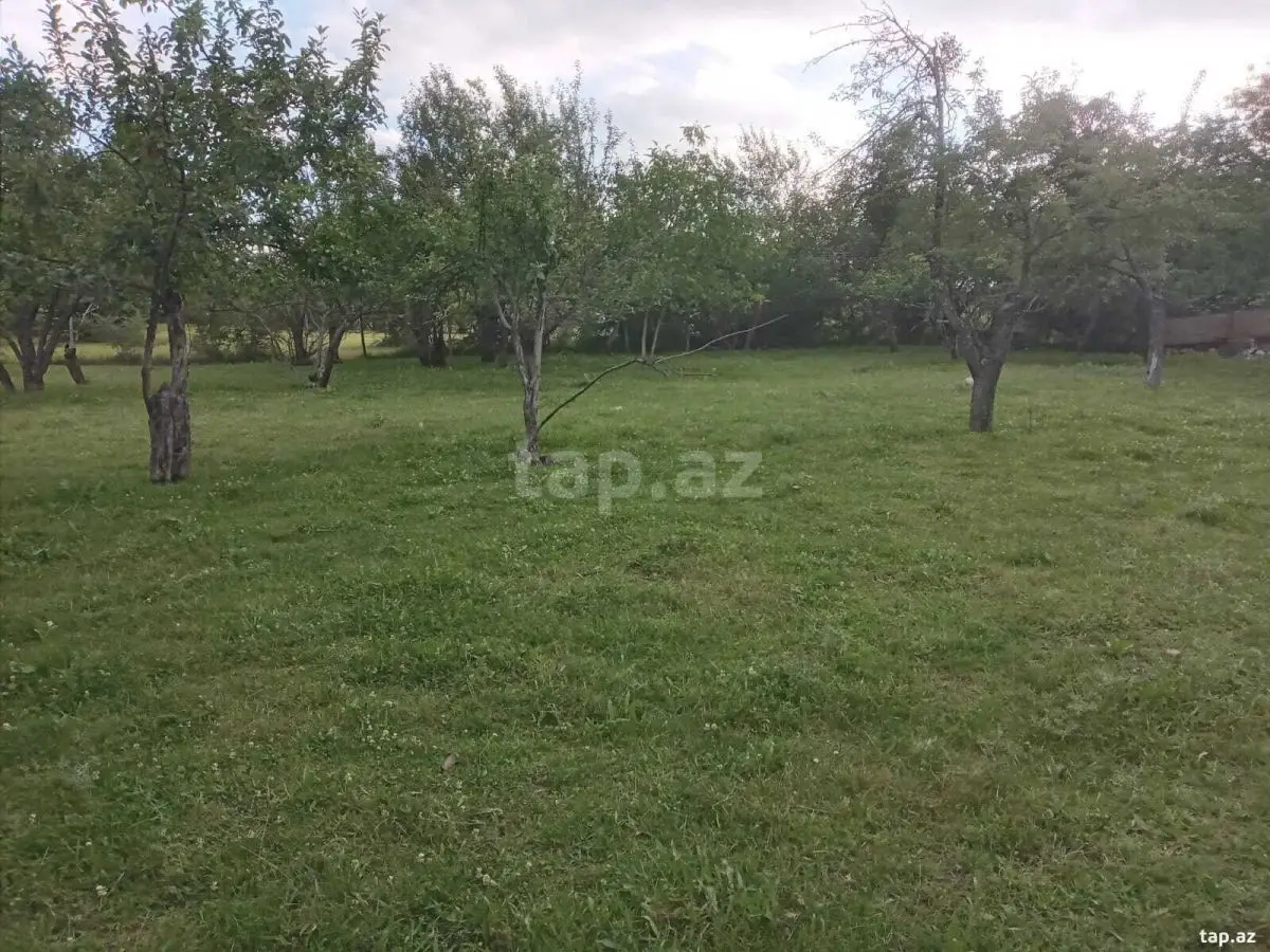 65 000 AZN - 0 m² Obyekt / Ofis , İsmayıllı