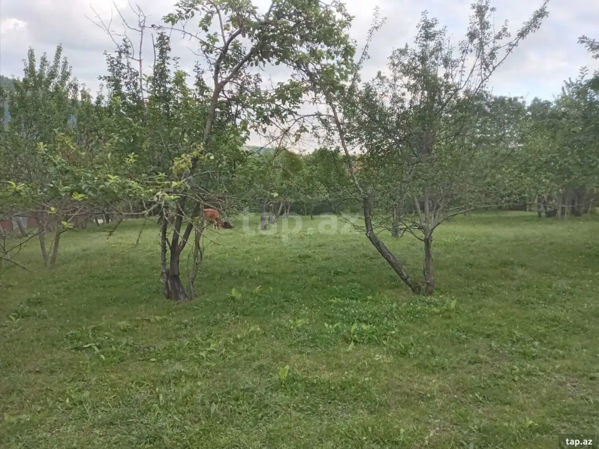 65 000 AZN - 0 m² Obyekt / Ofis , İsmayıllı