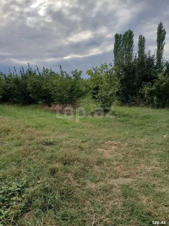 82 000 AZN - 0 m² Obyekt / Ofis , Xudat
