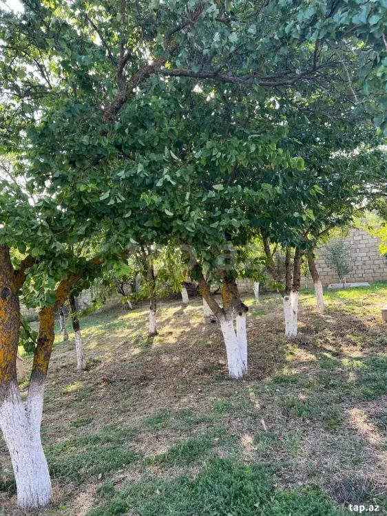 210 000 AZN - 6 otaqlı mənzil , Xızı