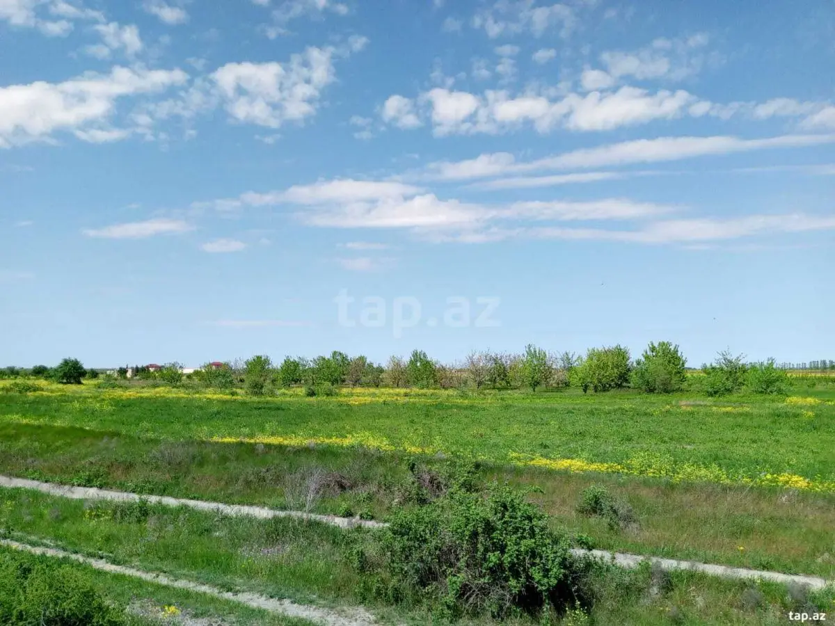110 000 AZN - 0 m² Obyekt / Ofis , Şabran