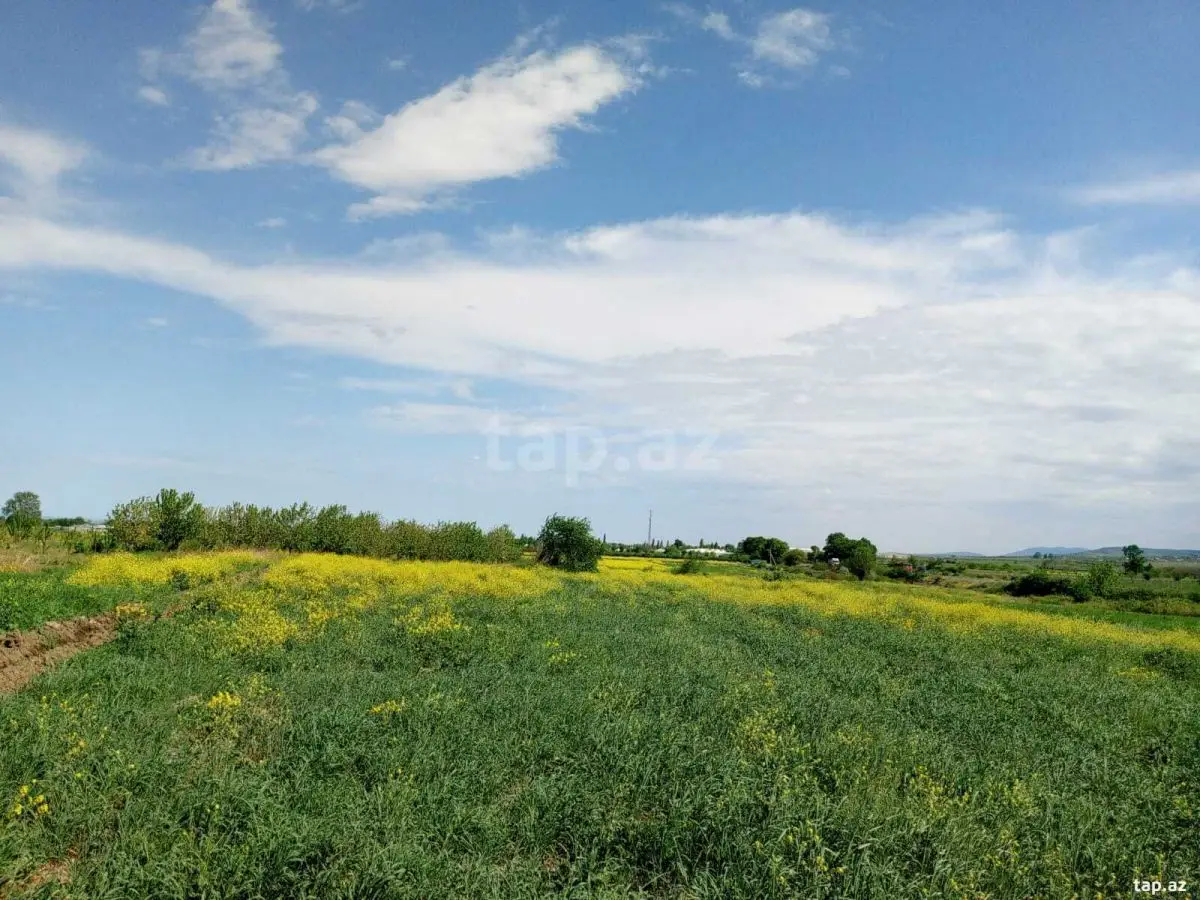 110 000 AZN - 0 m² Obyekt / Ofis , Şabran