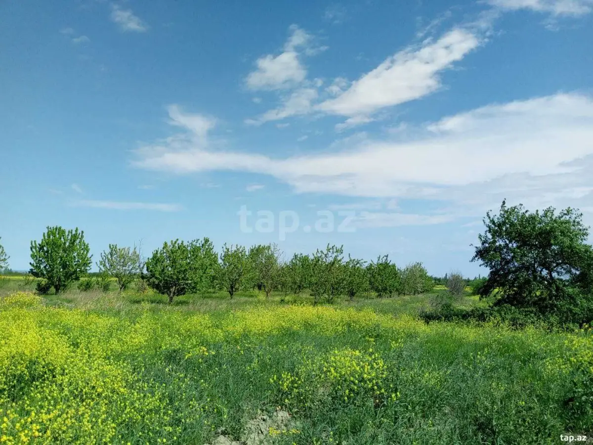 110 000 AZN - 0 m² Obyekt / Ofis , Şabran