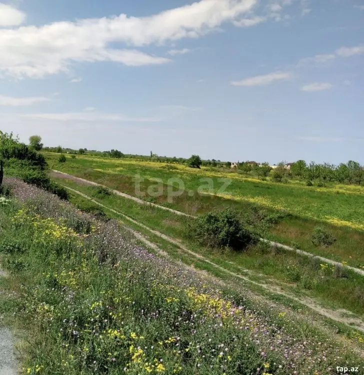 110 000 AZN - 0 m² Obyekt / Ofis , Şabran