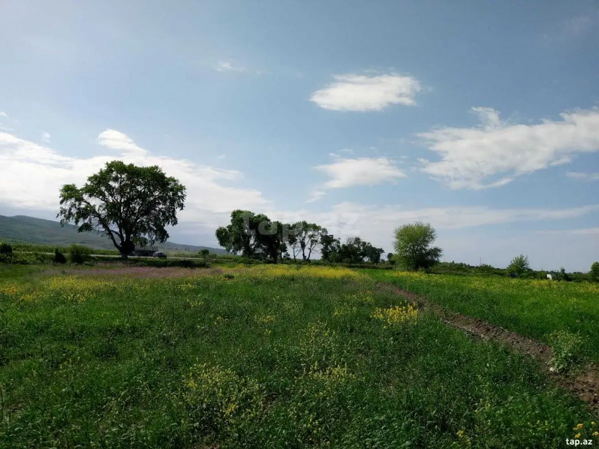 110 000 AZN - 0 m² Obyekt / Ofis , Şabran