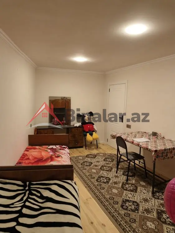 100 AZN - 4 otaqlı mənzil Kirayə (aylıq), Gəncə