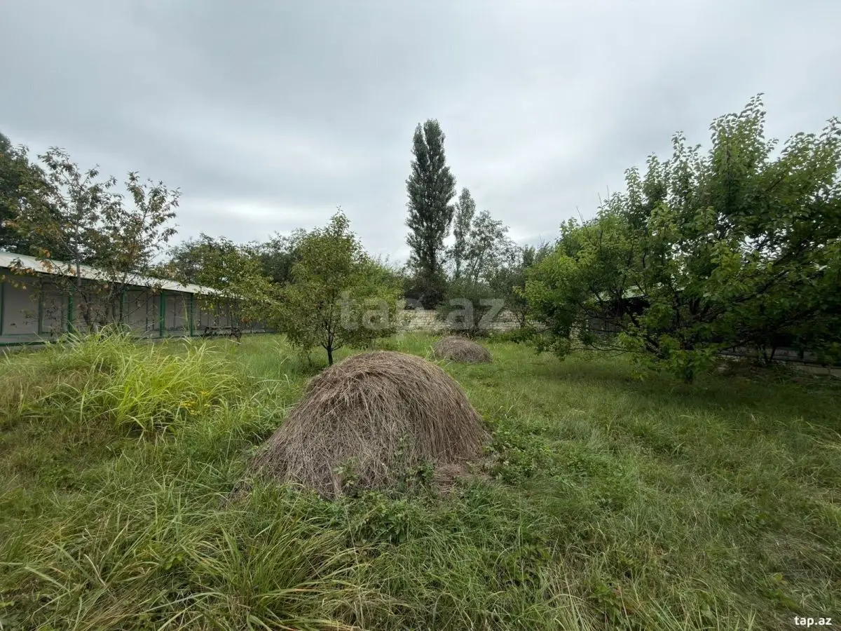 45 000 AZN - 0 m² Obyekt / Ofis , Qusar