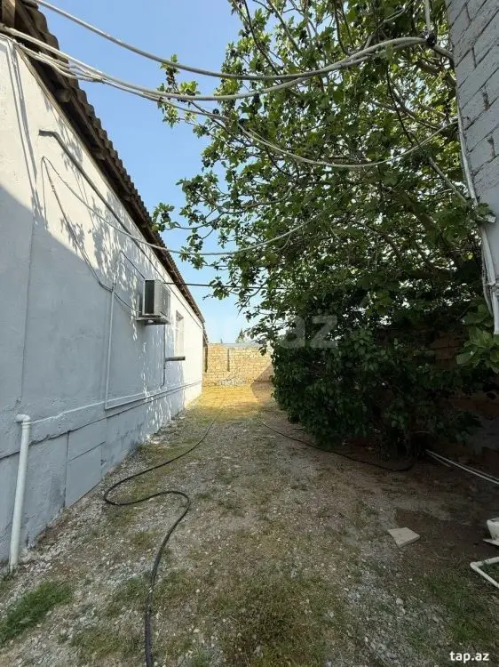 650 AZN - 3 otaqlı mənzil Kirayə (aylıq), Buzovna, Xəzər, Bakı