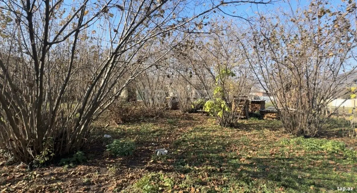 48 000 AZN - 0 m² Obyekt / Ofis , Qəbələ