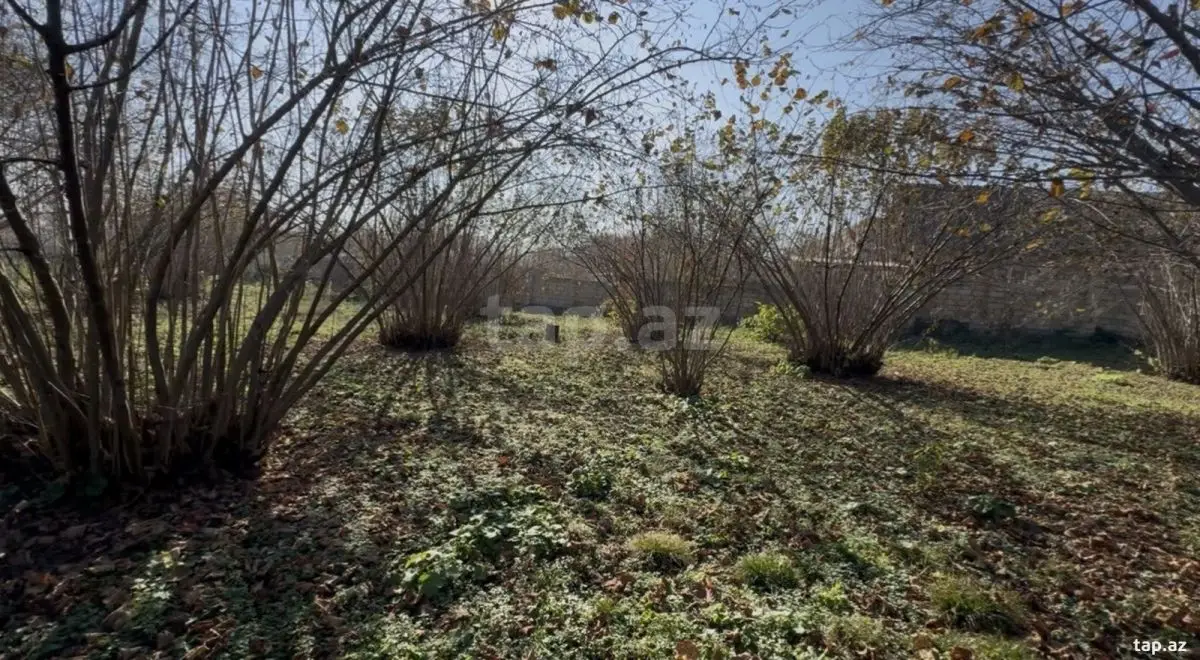48 000 AZN - 0 m² Obyekt / Ofis , Qəbələ