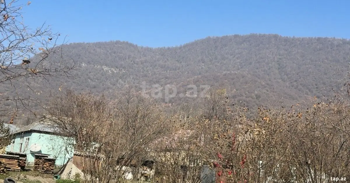48 000 AZN - 0 m² Obyekt / Ofis , Qəbələ