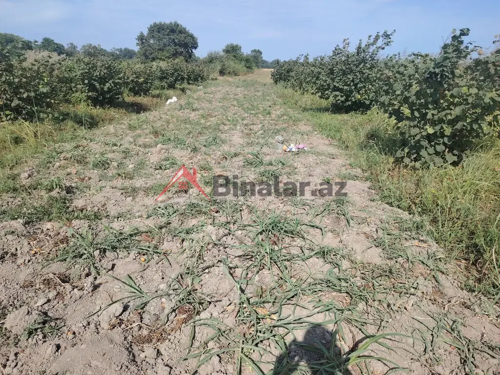 5 200 AZN - 16 sot Torpaq Satılır, Siyəzən