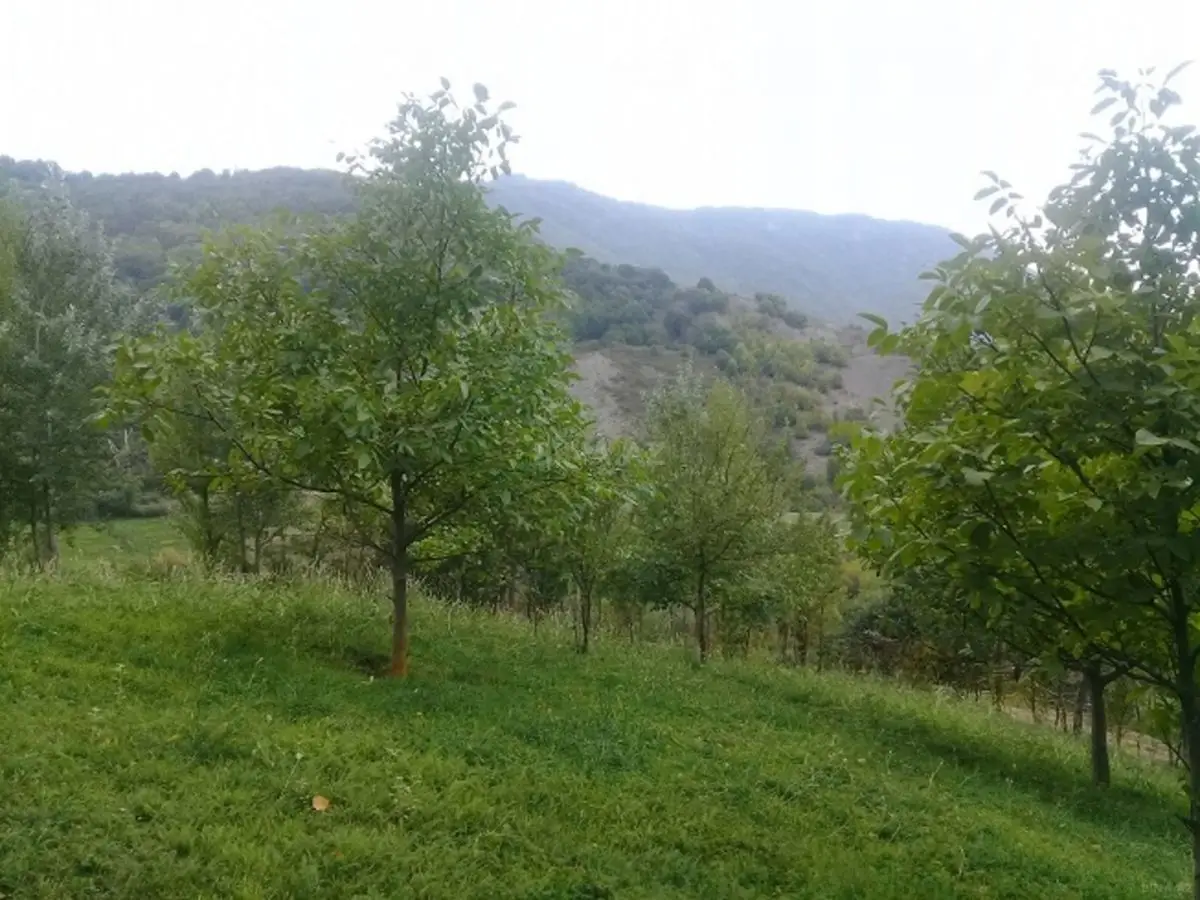 36 000 AZN - 16 sot Torpaq Satılır, İsmayıllı