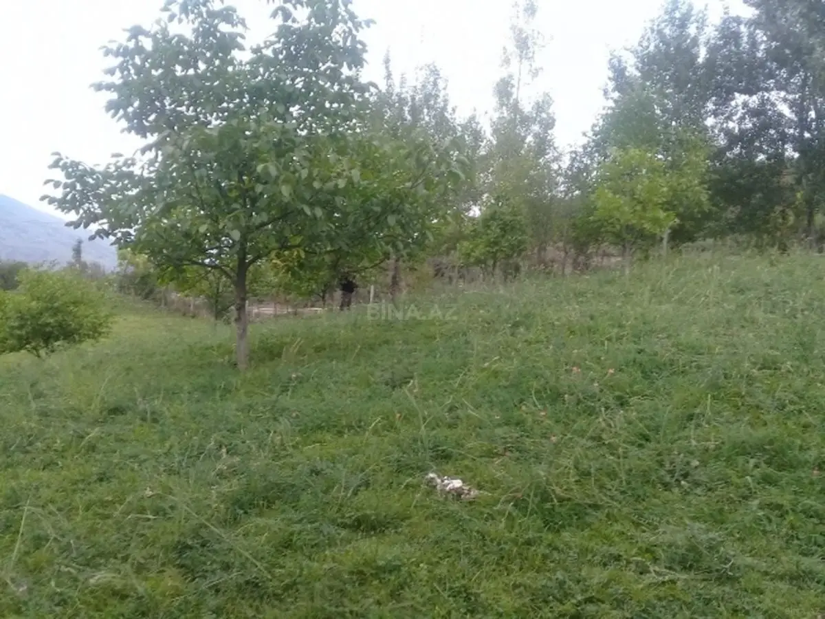 36 000 AZN - 16 sot Torpaq Satılır, İsmayıllı