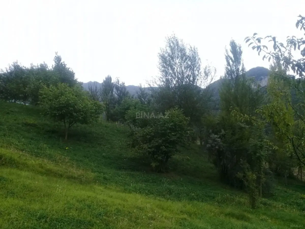 36 000 AZN - 16 sot Torpaq Satılır, İsmayıllı