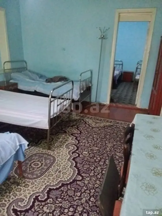 100 AZN - 2 otaqlı mənzil Kirayə (aylıq), Qazax