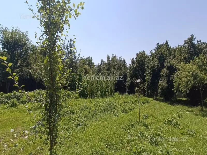 4 400 AZN - 15 sot Torpaq Satılır, Qəbələ
