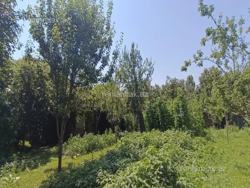 4 400 AZN - 15 sot Torpaq Satılır, Qəbələ